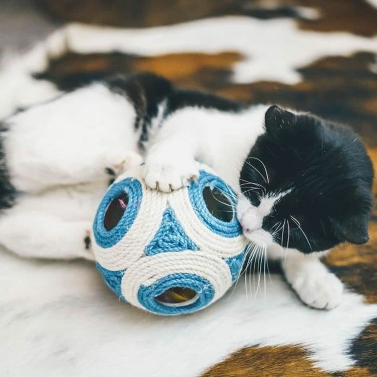 Cats