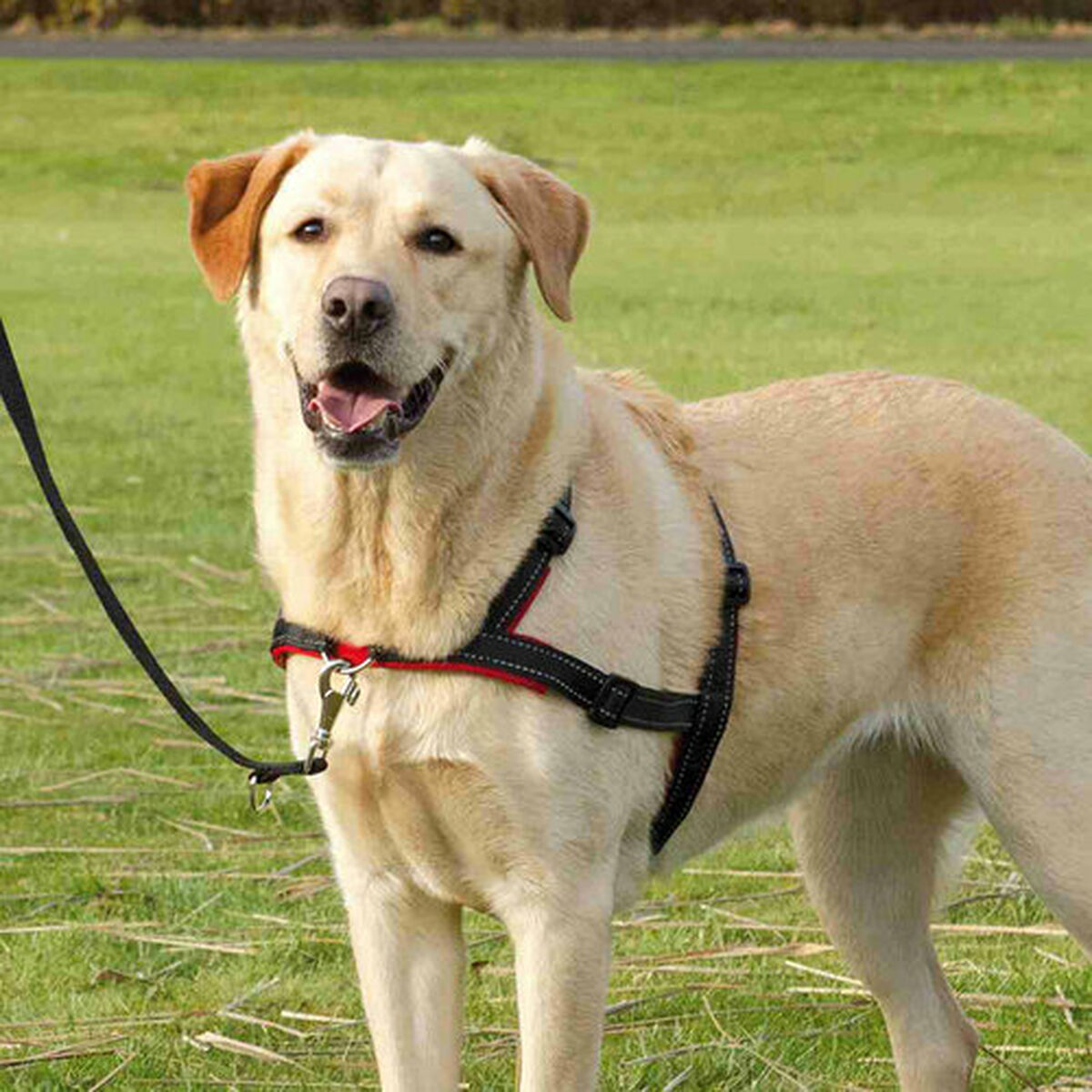 V5H87C8BFE937C85ADD7FF01C9A6913497BR5447017P8