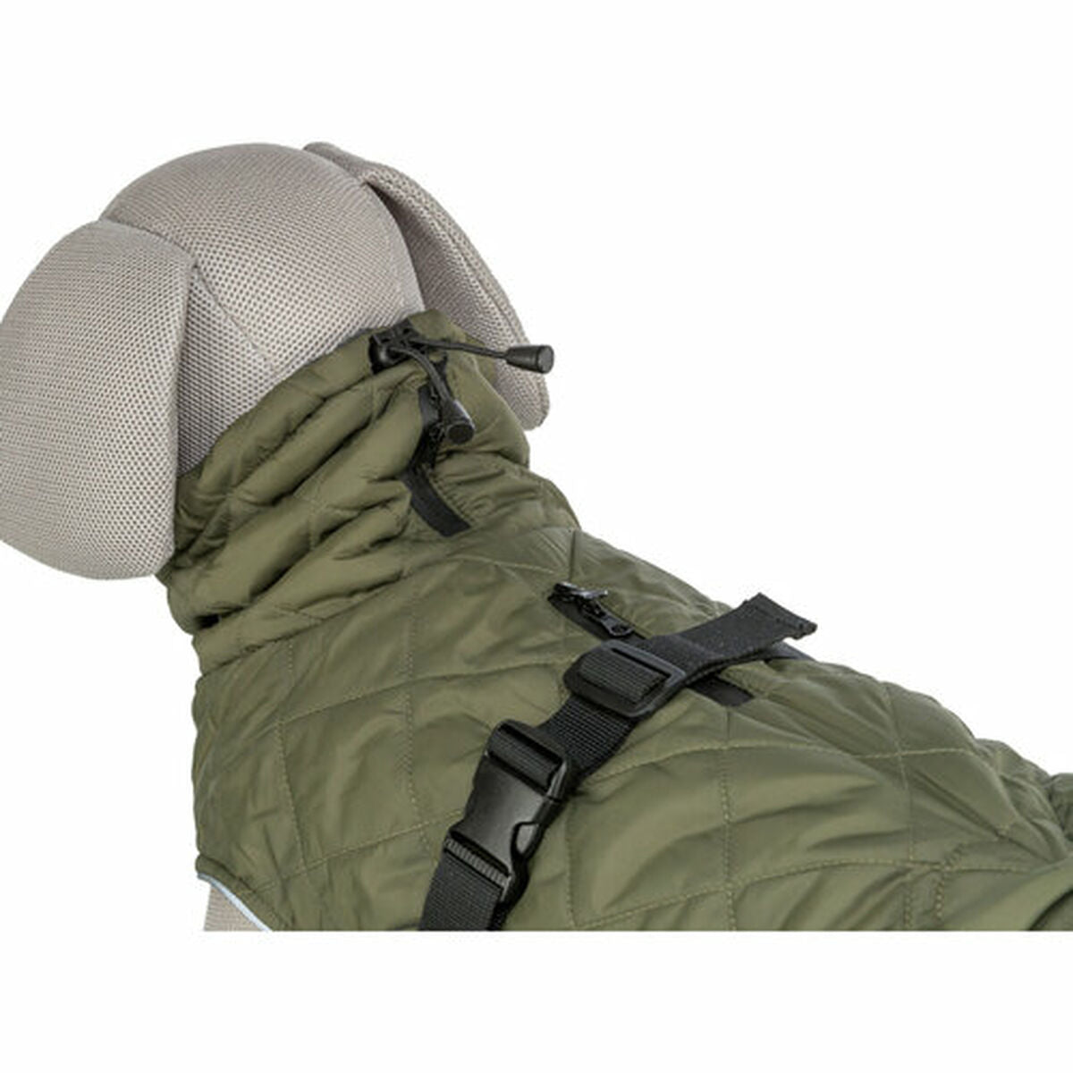 V2H50CAA5F2DC05AD3D4A365586E106FDDAR7237097P10