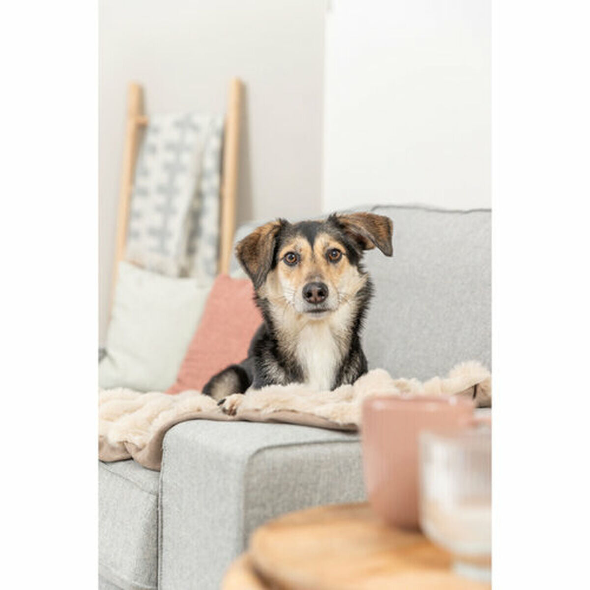 V2H943E45A7B6E8B0AF4535D68E4F6B9667R7269169P4