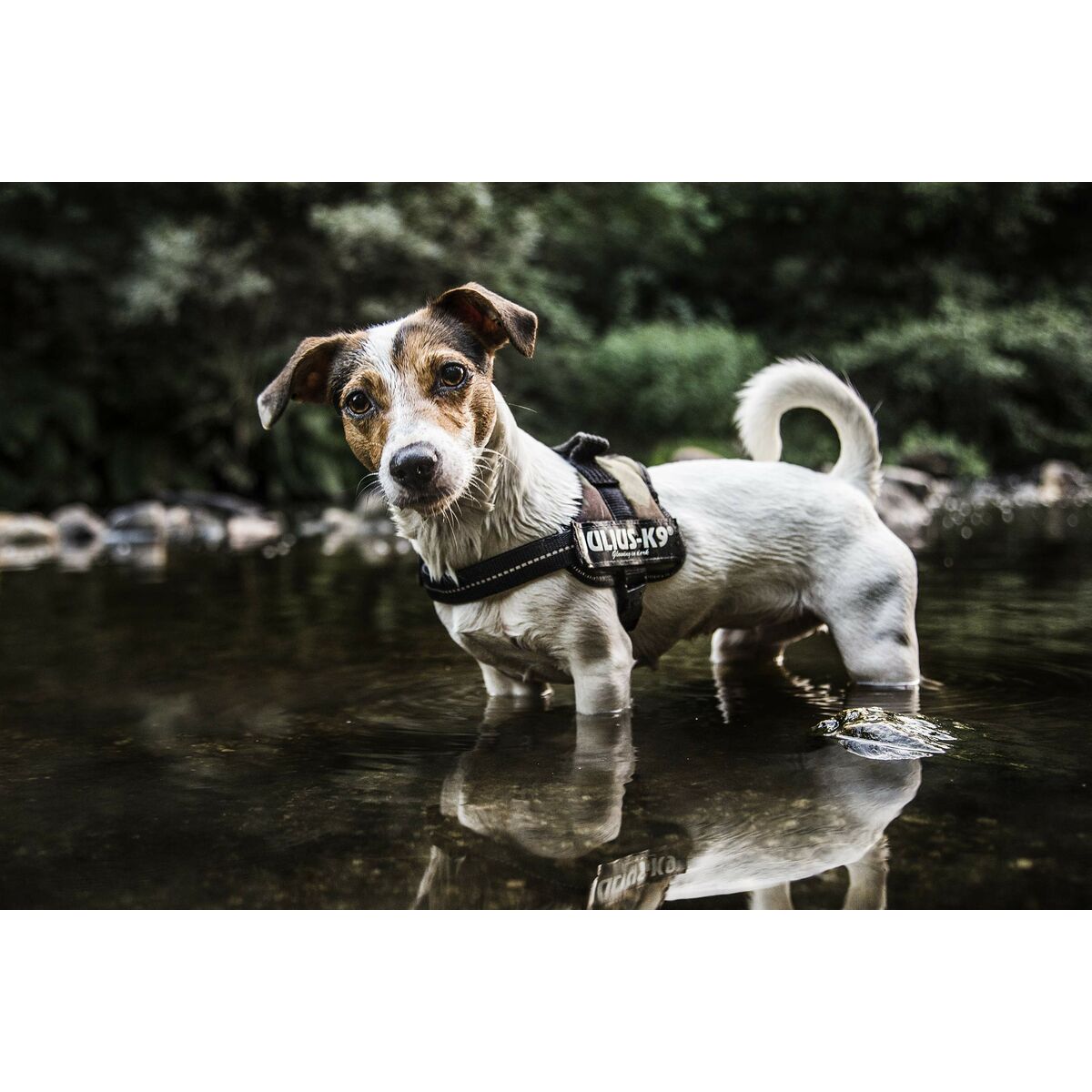 V4H5F656DBB62DE7441EC5B4B8602F991D3R5329188P8