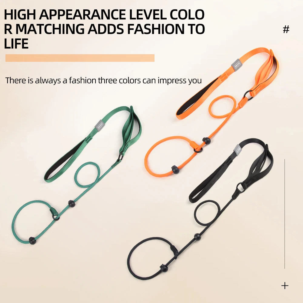 Laisse anti-traction tout-en-un réglable – Collier coulissant pour chiens moyens et grands