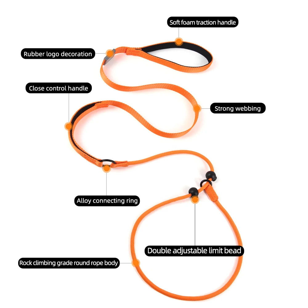 Laisse anti-traction tout-en-un réglable – Collier coulissant pour chiens moyens et grands