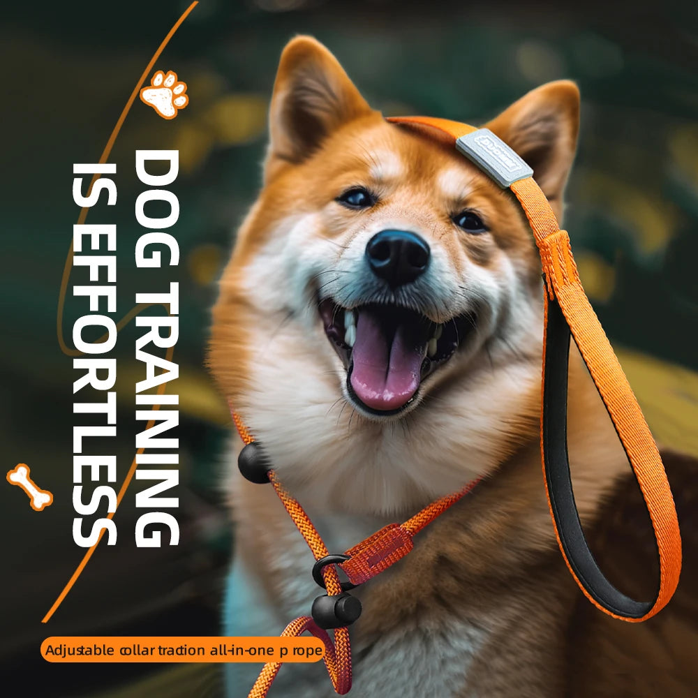 Laisse anti-traction tout-en-un réglable – Collier coulissant pour chiens moyens et grands