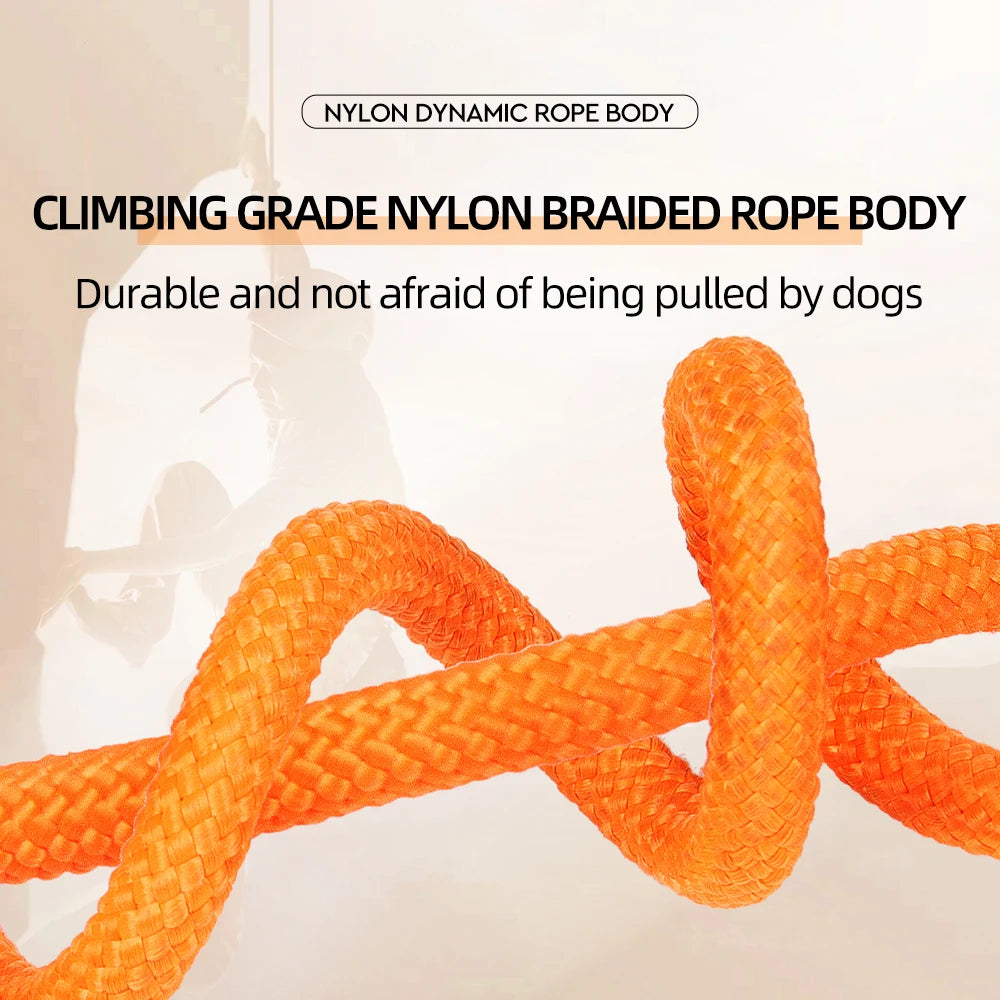 Laisse anti-traction tout-en-un réglable – Collier coulissant pour chiens moyens et grands