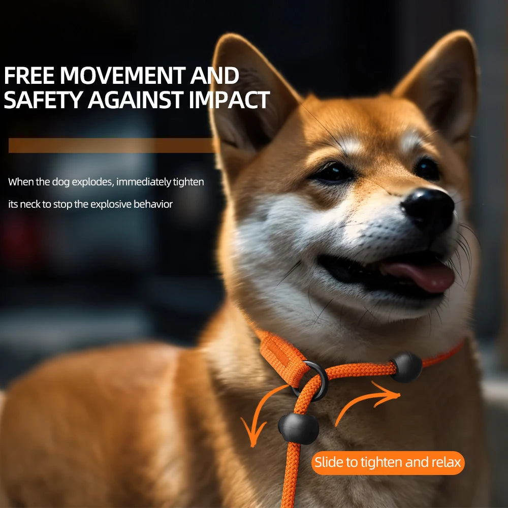 Laisse anti-traction tout-en-un réglable – Collier coulissant pour chiens moyens et grands