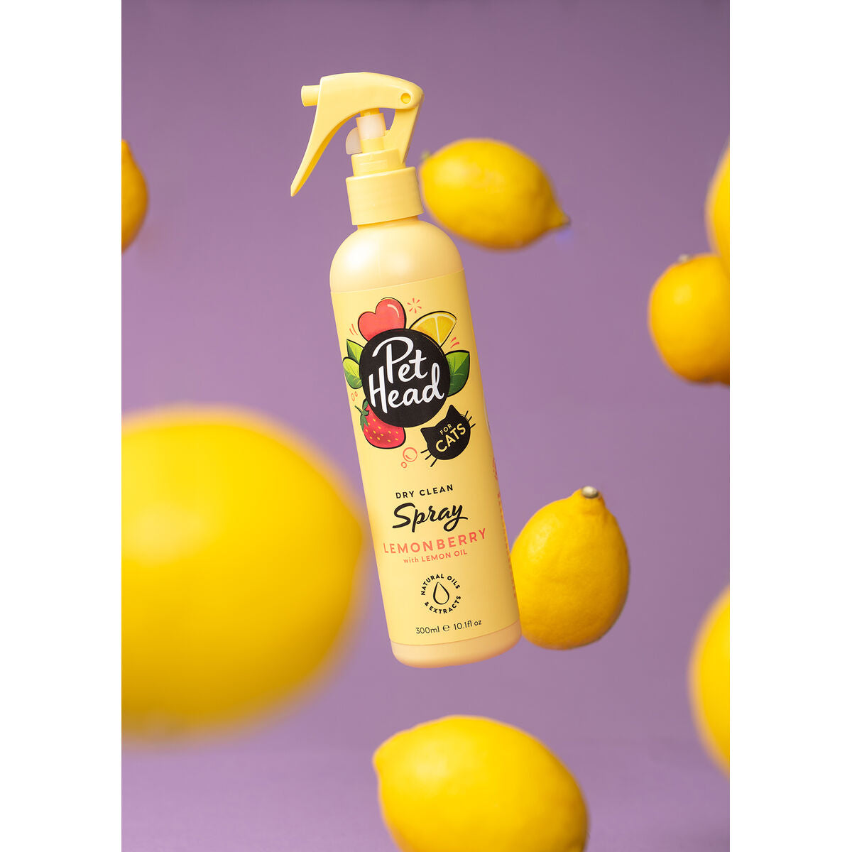 Sand and home cleaning