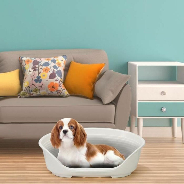Beds, blankets and furniture