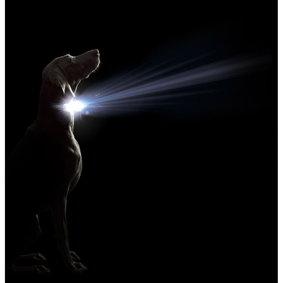 V3H5335329520B74603F07425C0AE450295R5554884P2