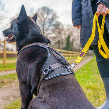 V2HD31928C775F96CC44B7231A1301502AAR7140554P3