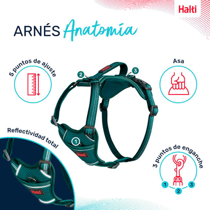 V4H8021CC021F1AE77D827A523A1520BA90R5328450P2