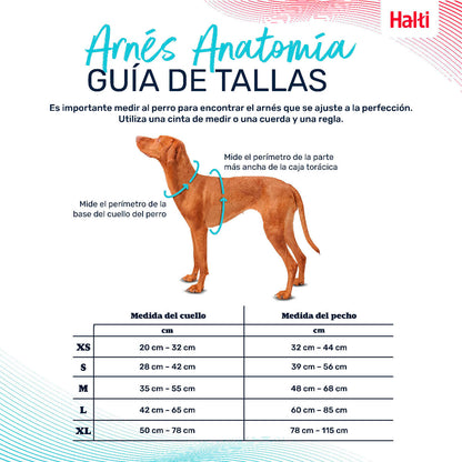 V4HE4E7823433778ABC00A723BEBD4E4949R5328472P4