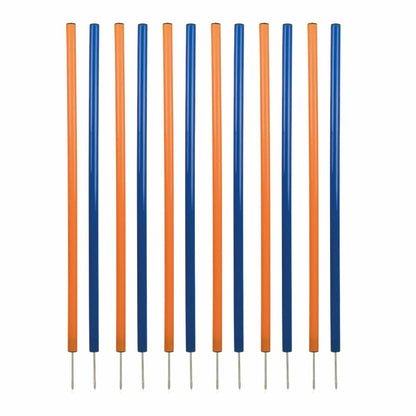 V3H0E1D33632766FA60CE1E5A698BCAF1E9R5763181P1