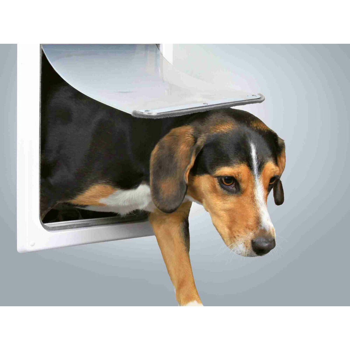 V3H857F208FB0BF36EB49371C70E002FCD5R5531685P5