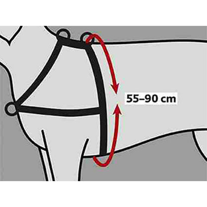 V5H8DB2B3C070018C1C1AC13E099E41DA9BR5447006P2