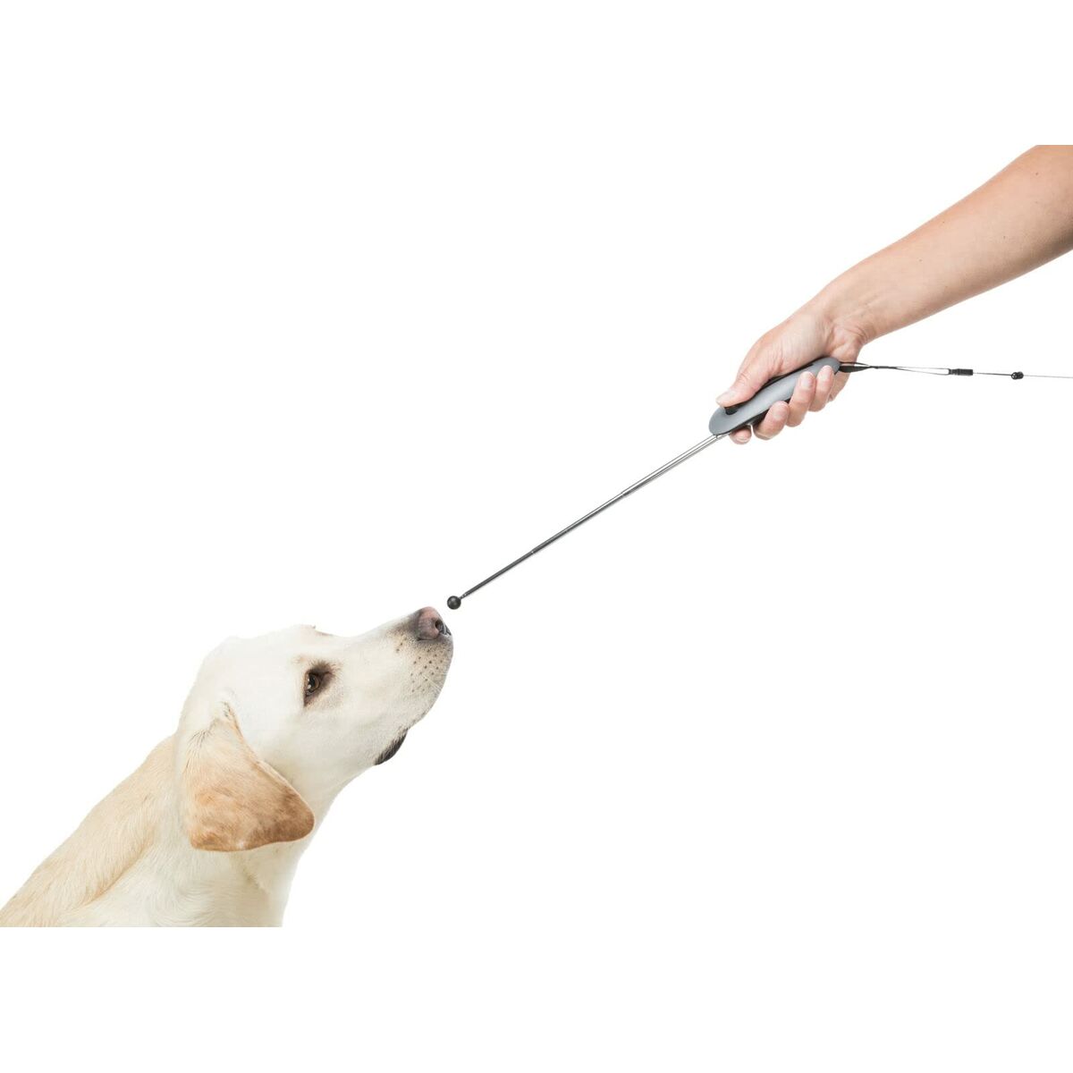 V4HF8EE8C138EBAADA31F4967C7F112FAABR5332022P6