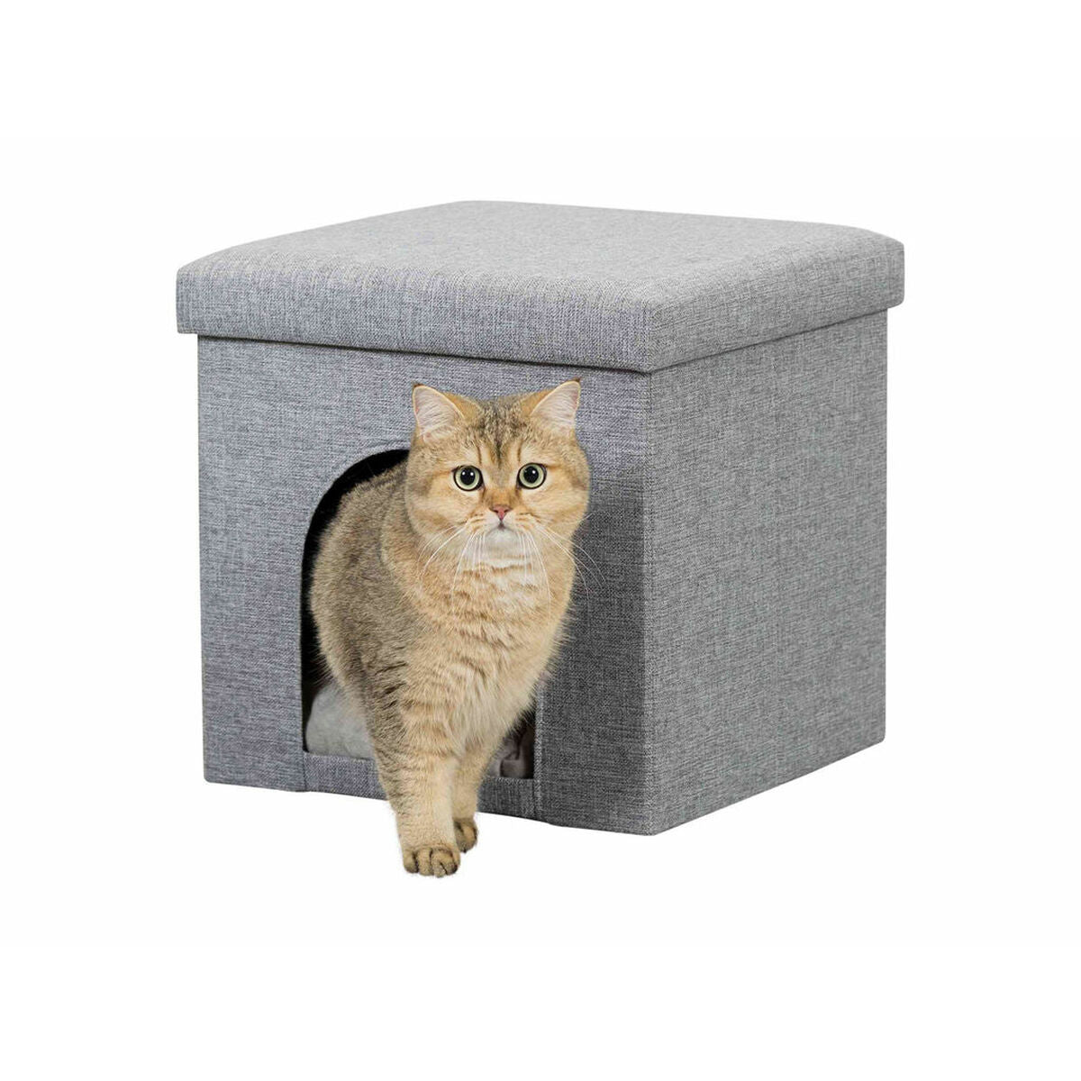 V7H0922AF285F134405372C36C24A53976AR6368702P1