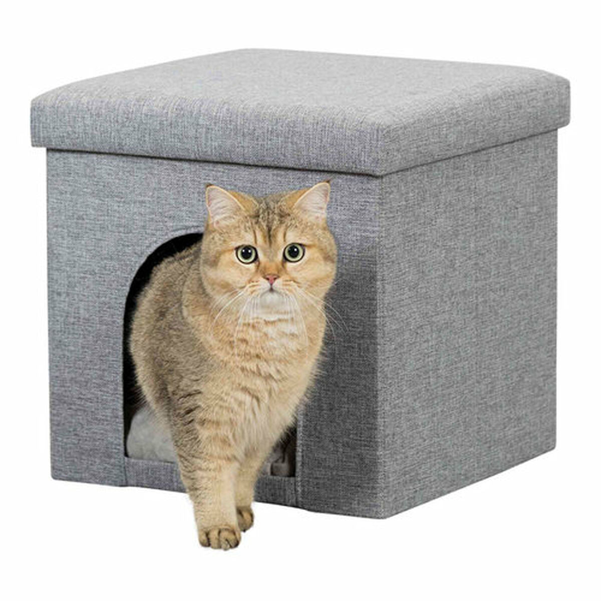 V7HEBC0E50E9916A93B3E9857BE0073B4B4R6368705P4