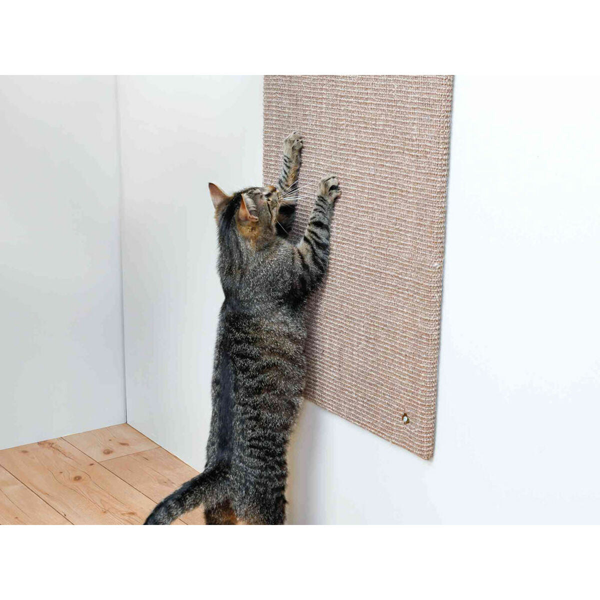 V5HEECDE6F449122A7E759962E10602A259R5447036P2