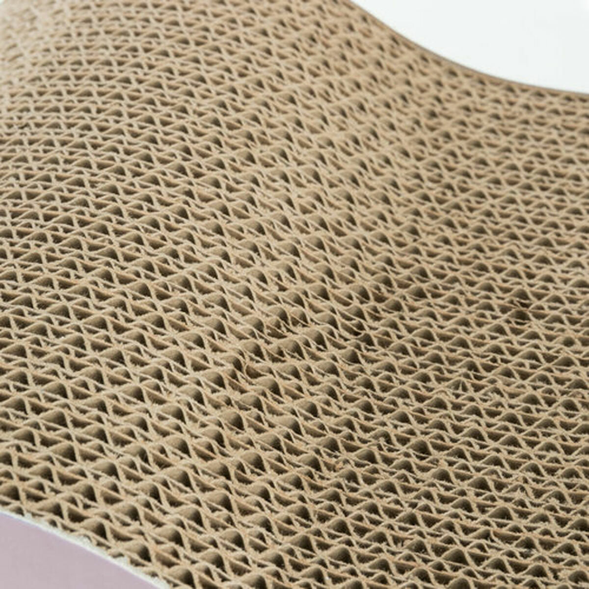 V3H81D6E3FAA1F77E7D940060DA099FC12CR6368336P10