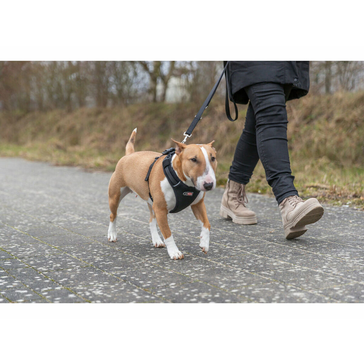 V2H2D7C7F755E762693E548FD91FEC3D938R7251973P7