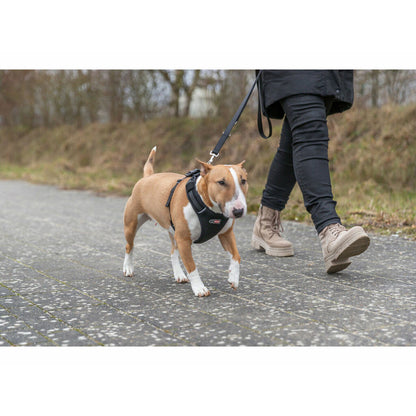 V2H2D7C7F755E762693E548FD91FEC3D938R7251973P7