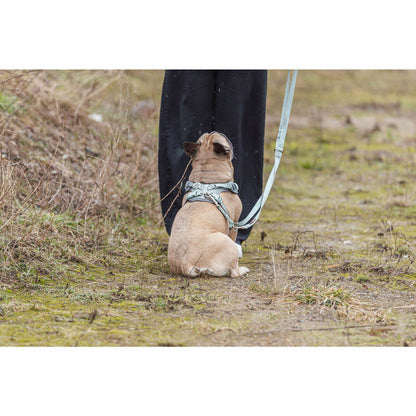 V2HAE95E14C50DD9D55224EFA617B8EC5ABR7252244P5