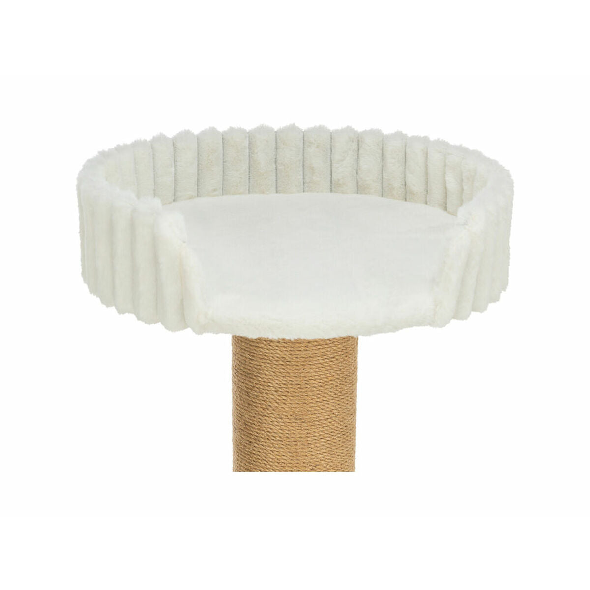 V2H7AFCBD1DB264D21DB2CA956D3BEED467R7269486P9