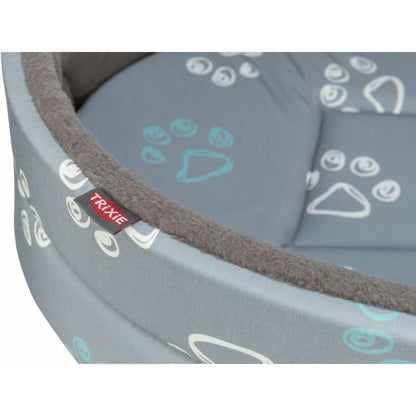 V2H66B1CC315AA66C9167EA43050C2BE700R7250837P7