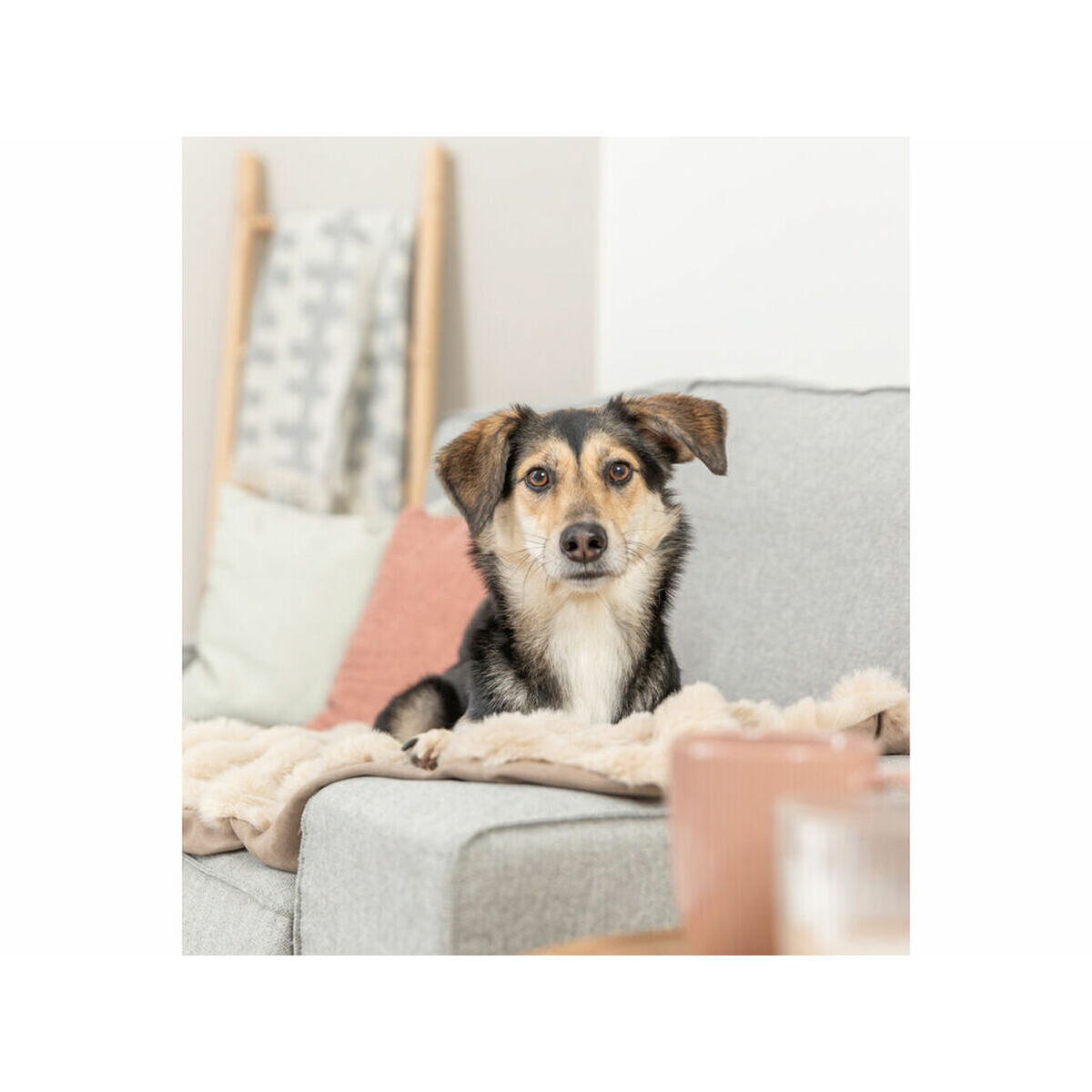 V2H6DEABEBC8B043895767C2F6FDE793F75R7269167P3