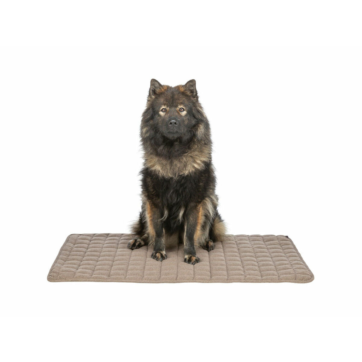 V2H79E30AFFD2AD5CABF29CE1708D22F869R7251600P7