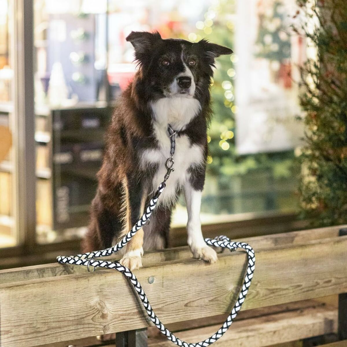 V4H4669309BE9667ECF2675FB29C42F32DDR5329950P4