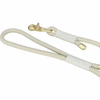 V4H7443670B29841940EF0F5D1E85069104R5342271P2