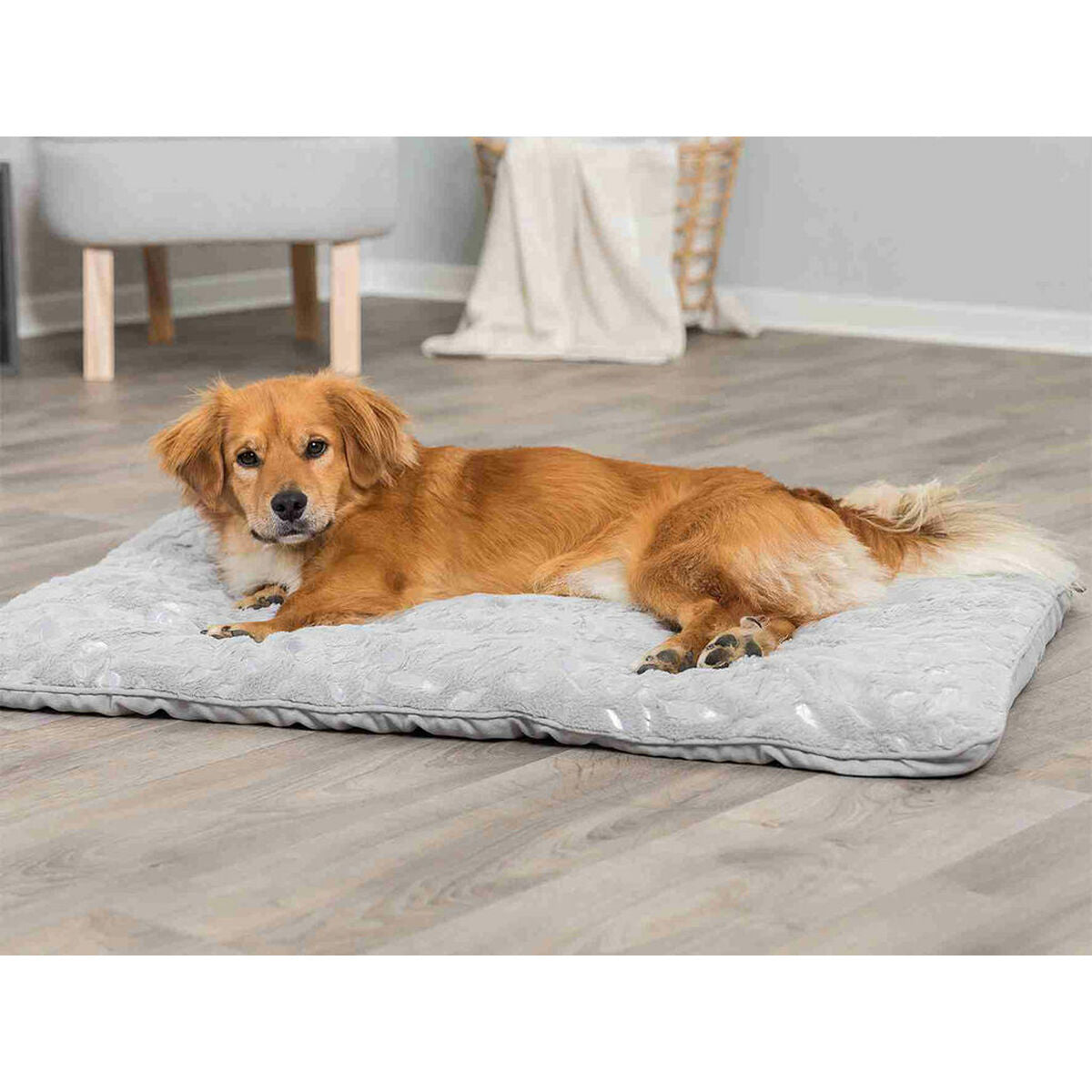 V4H29186334A6B5FBCEF9B4EF20D54D0628R7359484P9