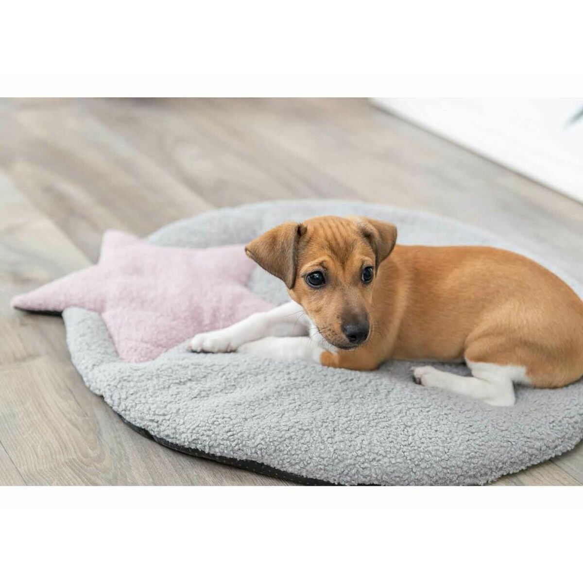 V4H2351A0CAC9D21813FEA154BC3CA69A72R5483491P7