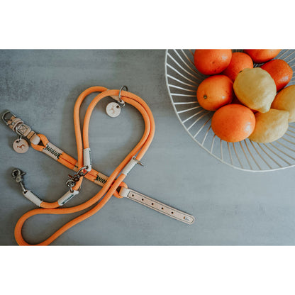 V3H6DFAE8297D94D55549E44A9E777B1B6DR5575452P6