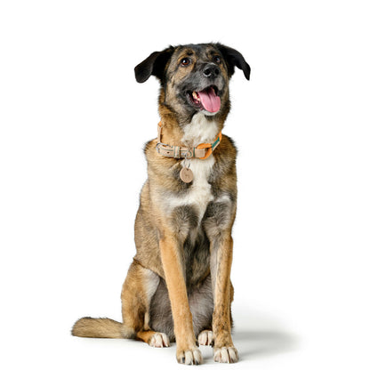 V3HA0738E7F14F181368C6B67514A894858R5575462P3