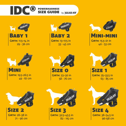 V4HD62B6173F4652DB7AC967E3CAF0ACA1CR5329076P2