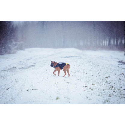 V4H2BC17BBA59062704361E0A9DF86DD7CBR5329319P2