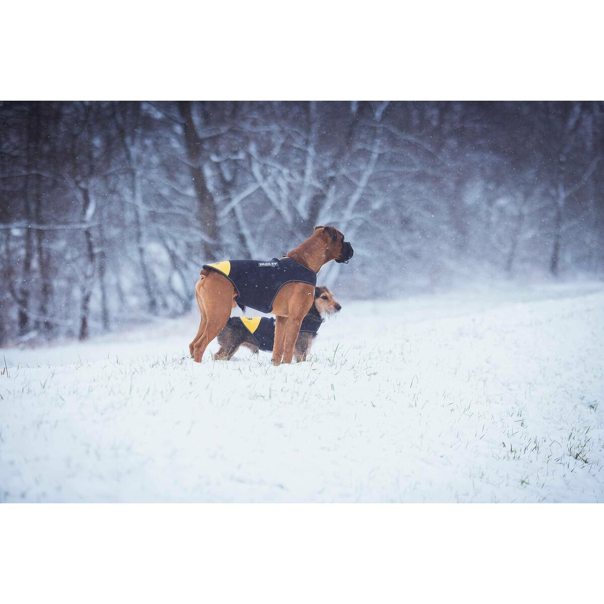 V4HEF835DBE41E43E16F839C31AF2002764R5329324P6