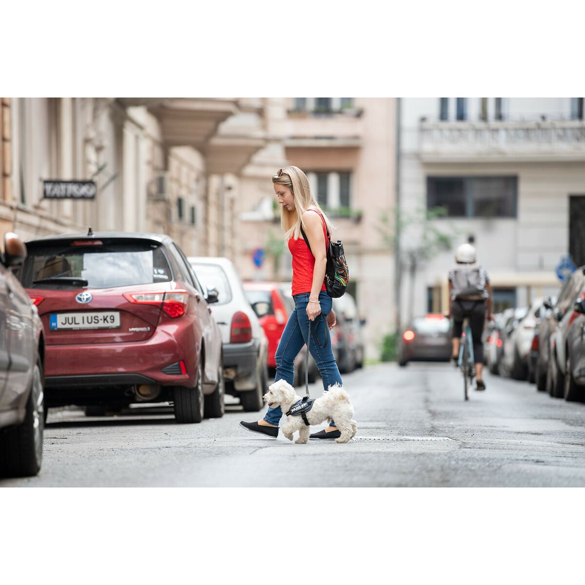 V4H89E5C2DABF848BEBE16232AACDF099ECR5328432P7