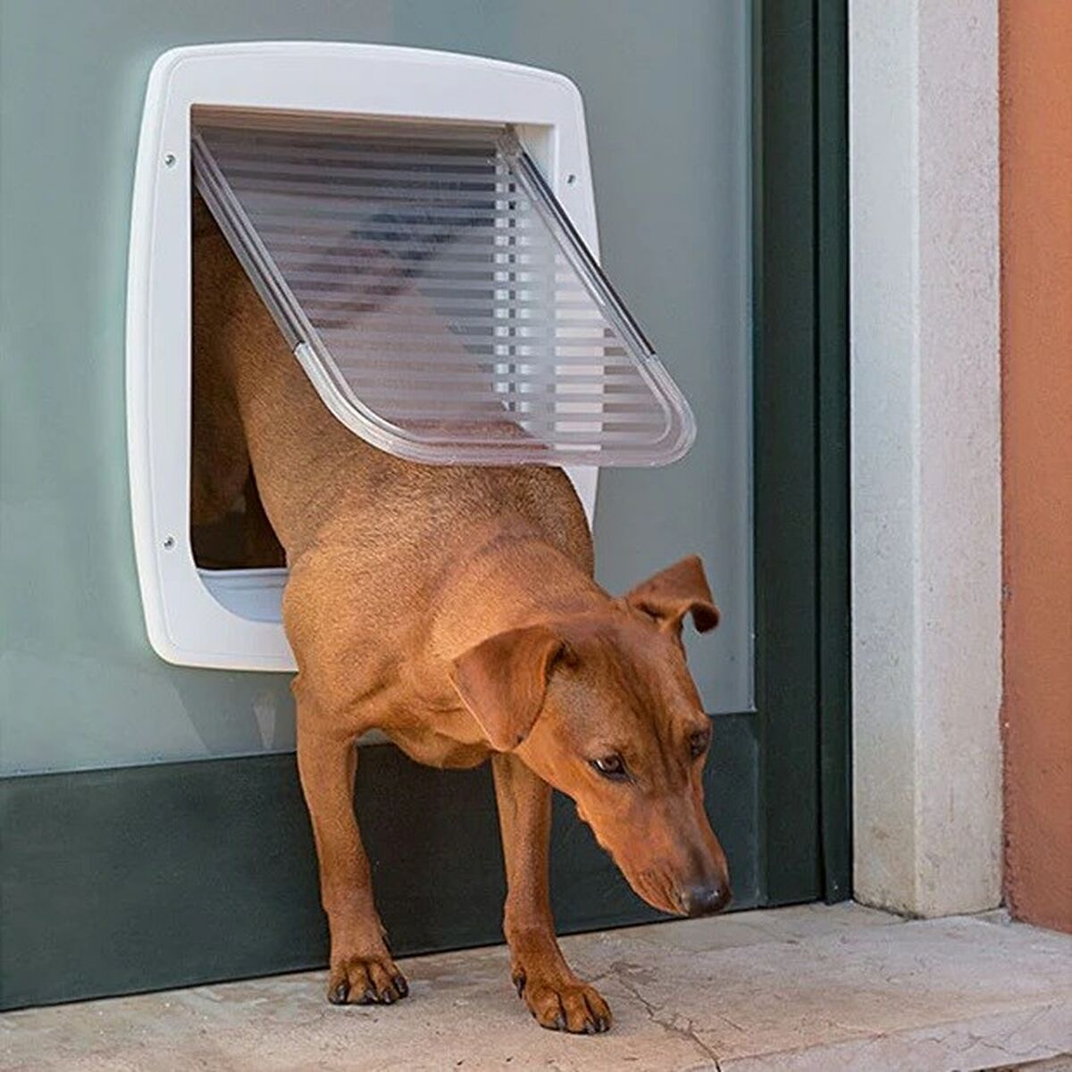 V4H5BB673E073E01E57C9E413345A04AF55R4433867P5