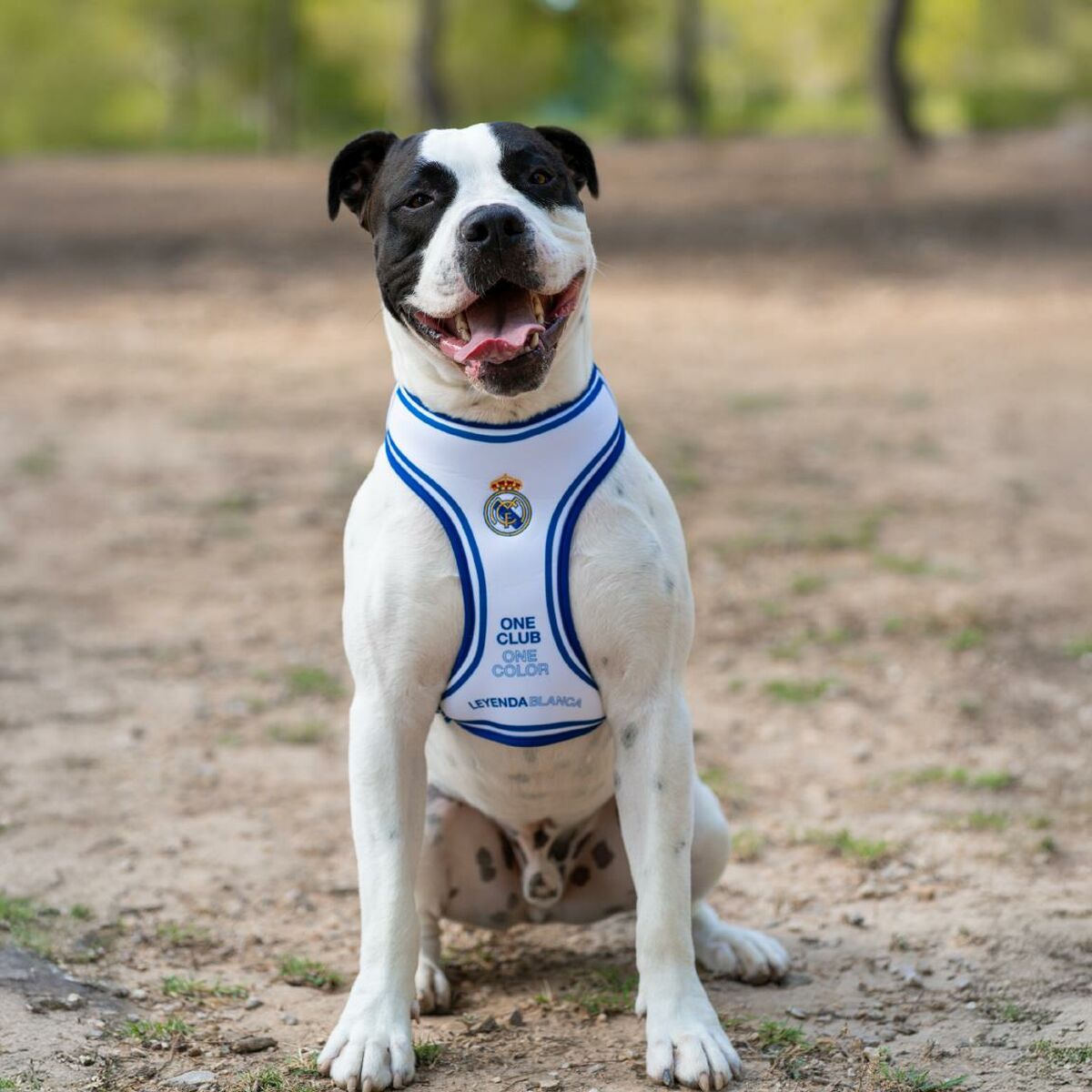 V2HDF1D0A9591A663EA77BF69ECCBEF5C73R7187305P3