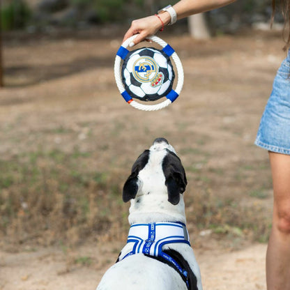 V3H852E1CD48990513983E39567D3298C9AR6453394P2