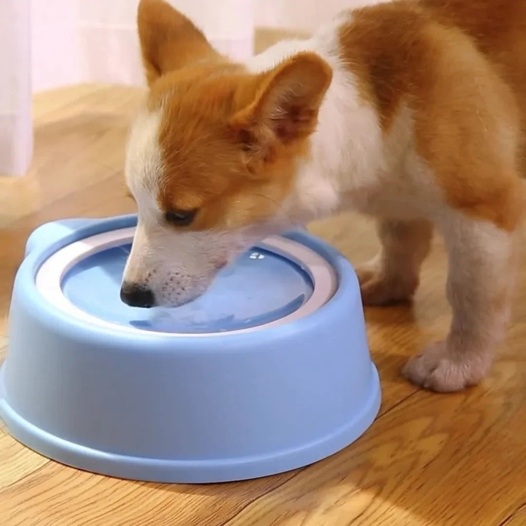 Anti-Splash Floating Water Bowl for Dogs – 1L Capacity, Spill-Proof Design
