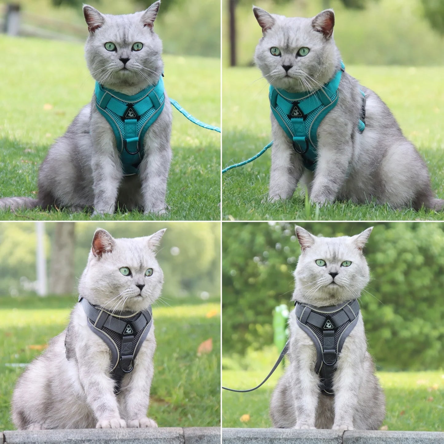 Harnais Réfléchissant et Respirant pour Chats – Gilet Antitraction Réglable pour Promenades Sécurisées